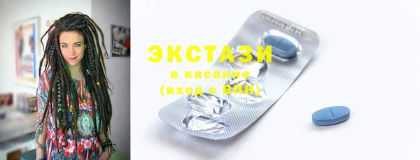 ECSTASY Бородино